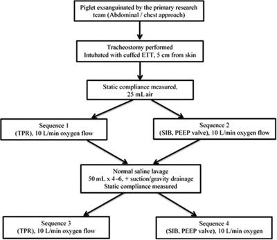 Positive end expiratory pressure and respiratory system resistance between self-inflating bag and T-piece resuscitator in a cadaveric piglet lung model